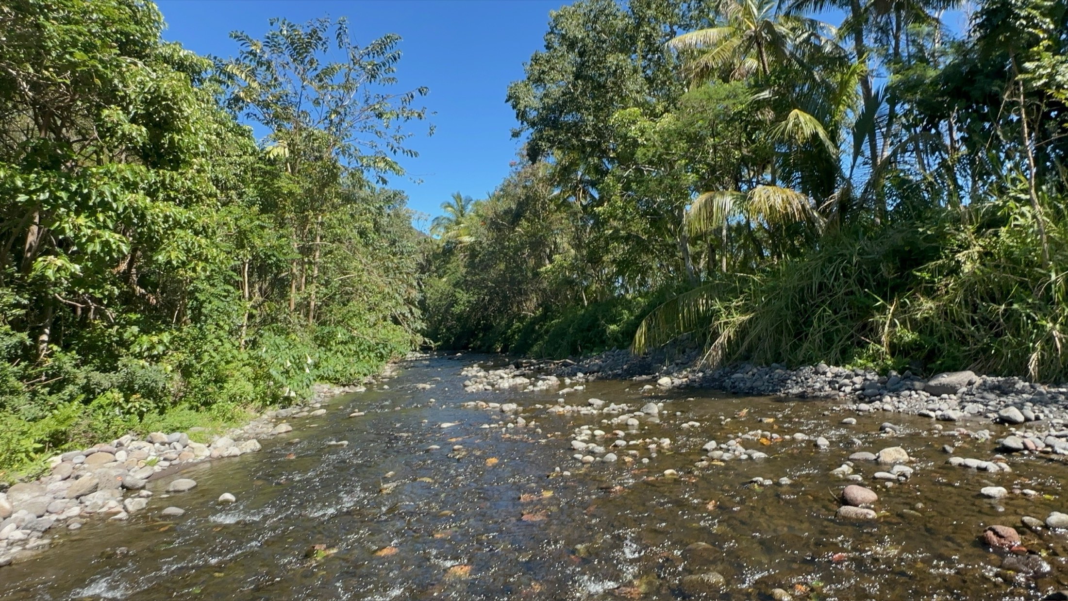 ʻIke Hohonu — Full-day deep experience